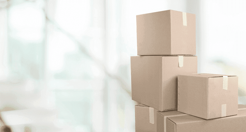 punaise de lit cause, cartons de déménagement